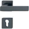 HOPPE 12248186 Lever 52-57, AL3 Handle Set Austin-on Rosette PZ,