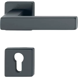 HOPPE 12248186 Lever 52-57, AL3 Handle Set Austin-on Rosette PZ, TS 52-57 mm, Aluminium Black