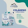 COLAGENO HIDROLIZADO EN POLVO 100% PURO, LIBRE DE GRASA, AZUCAR,
