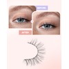 Natural Lashes Natural Eyelashes Natural Look Wispy Lashes Mink Lashes