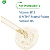 Nutra BioGenesis - Methyl Factors - B12 and Methyl Folate