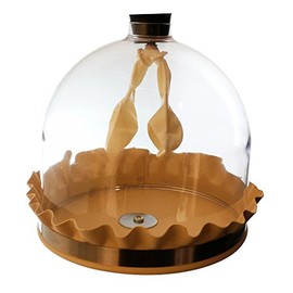 GSC International 120310 Gsc Deluxe Lung Apparatus