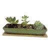 WISH HALLY WOOD 9.8inch green long rectangle Ceramic Succulent Planter