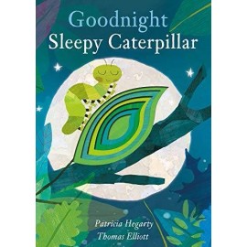 Goodnight Sleepy Caterpillar - Board book - GOOD