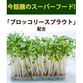 Healthy Family Vegetable Power, Lactobacillus Plus, 120 Tablets, 15 Types of Domestic Vegetables, Ugrena, Chlorella, Broccoli Sprout, Vegetable Supplement, Lactic Acid Bacteria