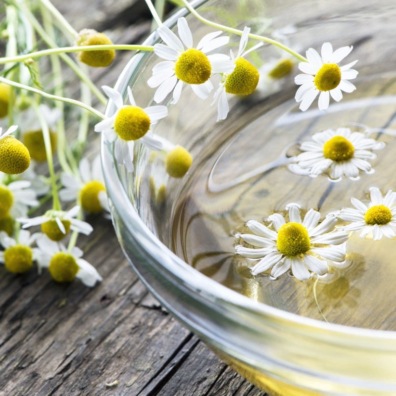 Kamillenblüten getrocknet Bio lose 500g | ganze Kamillenblüten getrocknet |