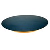 Pro-Graad 5” PSA Disc Pad Holder, Durable Foam Backing Pad,
