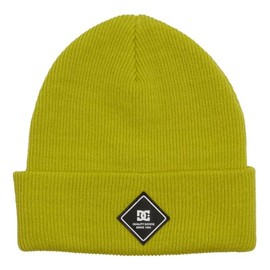 Dcshoes Beanie LABEL BEANIE Men Green One size