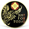 Phoenix 11 Year NA Medallion Just for Today Recovery Chip