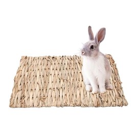 YFFSFDC Warakko Club Rabbit Mat Grass Knitting Hand Woven Craft Rabbit Guinea Pig Hamster Small Animal Supplies Cage Interior Natural Material Rest Place Playground 11.0 x 8.3 inches (28 x 21 cm) (1 Piece)