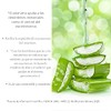 Flor de Aloe Jugo de Aloe Vera 100 Natural, Recomendado