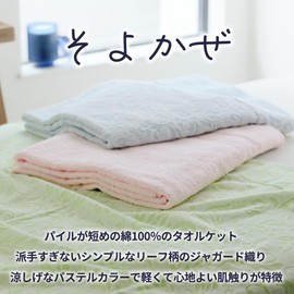 Swallow Towel Blanket, Single, Thin, 100% Cotton, Made in Japan, Senshu Towel, Established in 1875, Long-established Manufacturer, Lightweight, Quick Drying, Fade-Resistant, Washable, Organic Scouring