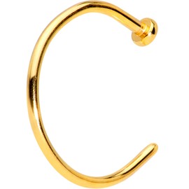 Body Candy Womens 20G PVD Grade 23 Titanium Nose Ring Disc Nose Hoop Ring Circular Nose Ring 3/8"