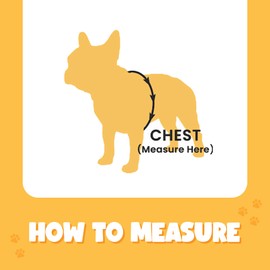 Bark Appeal Aqua Blue No-Pull Dog Harness for XS to Small Sized Pets – Adjustable, Reflective Vest with 3 Leash Clips for Added Control, Easy Walks & Training – Small