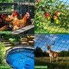 VBWSL 6 x 50 FT Bird Netting for Garden, 1"