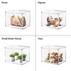 HOYOJA Clear Acrylic Display Case, Large Stackable Storage Bins Magnetic