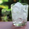 Ginger Lily Farms Botanicals Plant-Based Ice Maker Cleaner & Descaler