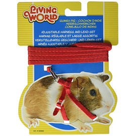 Living World Figure 8 Harness and Lead Set for Guinea Pigs, Red-1.2 Meter (4 Feet)