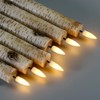 Eywamage Birch Bark Flameless Taper Candles with Remote, Short Wood