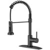 FORIOUS Black Kitchen Faucet with Pull Down Sprayer 2 Modes