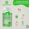 AlphaStateSciences Mighty Organic Moringa: Immune Boosting Capsules with Turmeric &