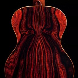 CZ Grain Cocobolo Tree Seeds for Planting Highly Desired Lumber for Fine Woodwork - 20 Seeds