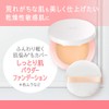 Curel Base Makeup Moist Skin Powder Foundation, Light Tone, 0.2