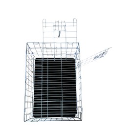 White Dog Crate Folding Metal Dog Crate with Sky Door Small Wire Dog Crate