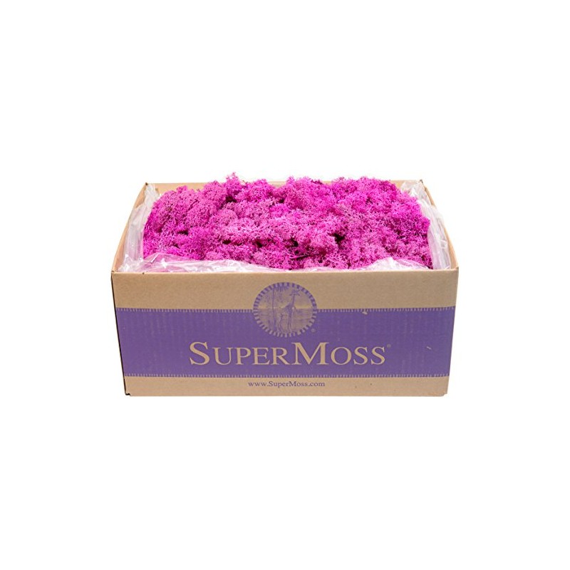SuperMoss (23099) Reindeer Moss Preserved Box, 3 lb, Pink