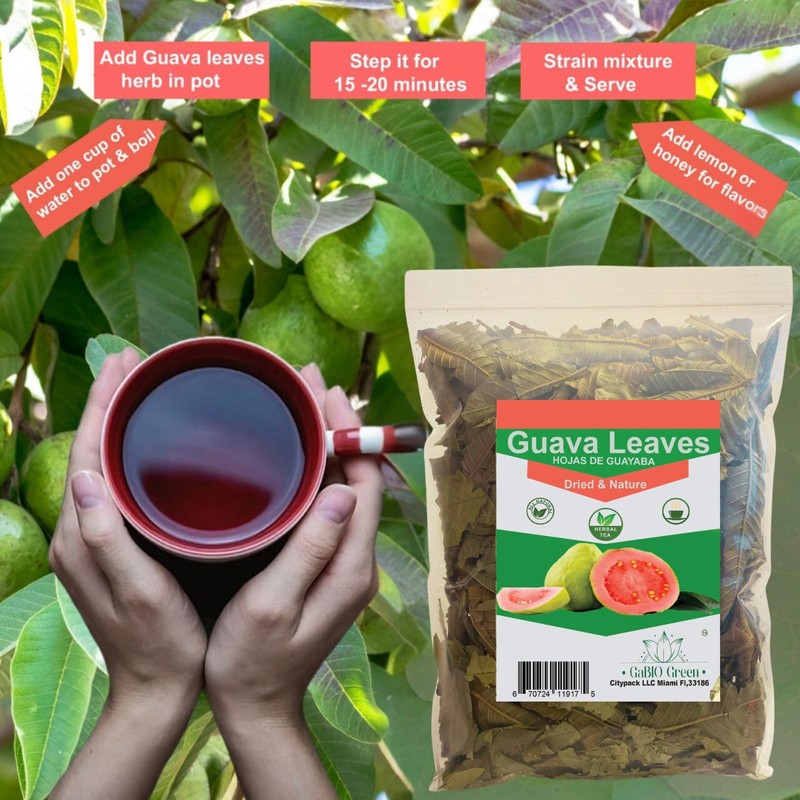 Hoja de guayaba Premium 400+ Leaves (1/2 Pound/8.1oz) 100% Natural