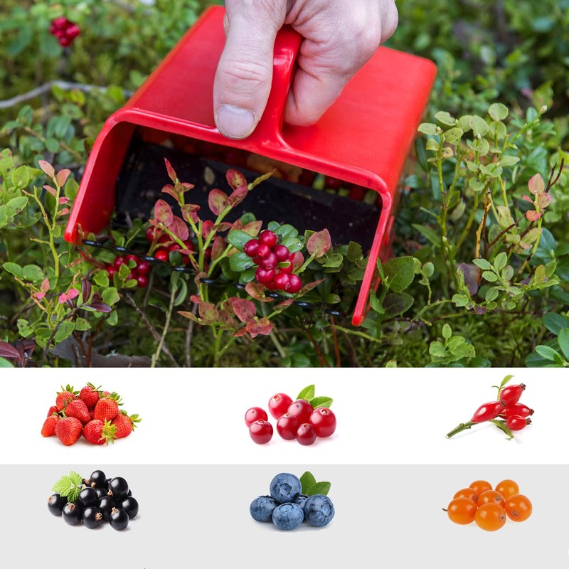 Vivi Bakie Berry Picker, Fruit Harvesting, Fruit Picker, Lightweight, Plastic
