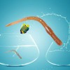 50pcs 77mm Soft Worm Fishing Lures Artificial Fishing Bait Tail