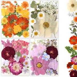 Buzidao 80Pcs Pressed Flowers, Dried Flowers Natural Pressed Flowers Bulk for Resin Molds, Nail Art, Scrapbooking, Candle Holder, Jewelry Making, Real Dried Pressed Flowers DIY Crafts Supplies Kit