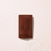 Cheong Kwan Jang [Jeongmol] Youngji Chaga Mushroom Extract 90ml*30 packets