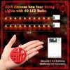 Blosssound 2 Pcs Chinese New Year LED String Light Decor
