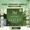 I Am Worlwide AMAZING PURE ORGANIC BARLEY Powdered Drink Mix-