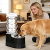 RIZZARI 8L Dog Water Dispenser – Elevated, Stainless Steel, Black