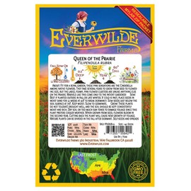 Everwilde Farms - 40 Queen of The Prairie Native Wildflower Seeds - Gold Vault Jumbo Seed Packet