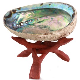 Natural Abalone (Pāua) Shell, with Stand,6-6.5 Inches,Supreme for Smudging,Cleansing Home,Meditation,Shell Crafts,Incense Holder,100% Natural, Sustainably Sourced by Ocean Shell Studios NZ