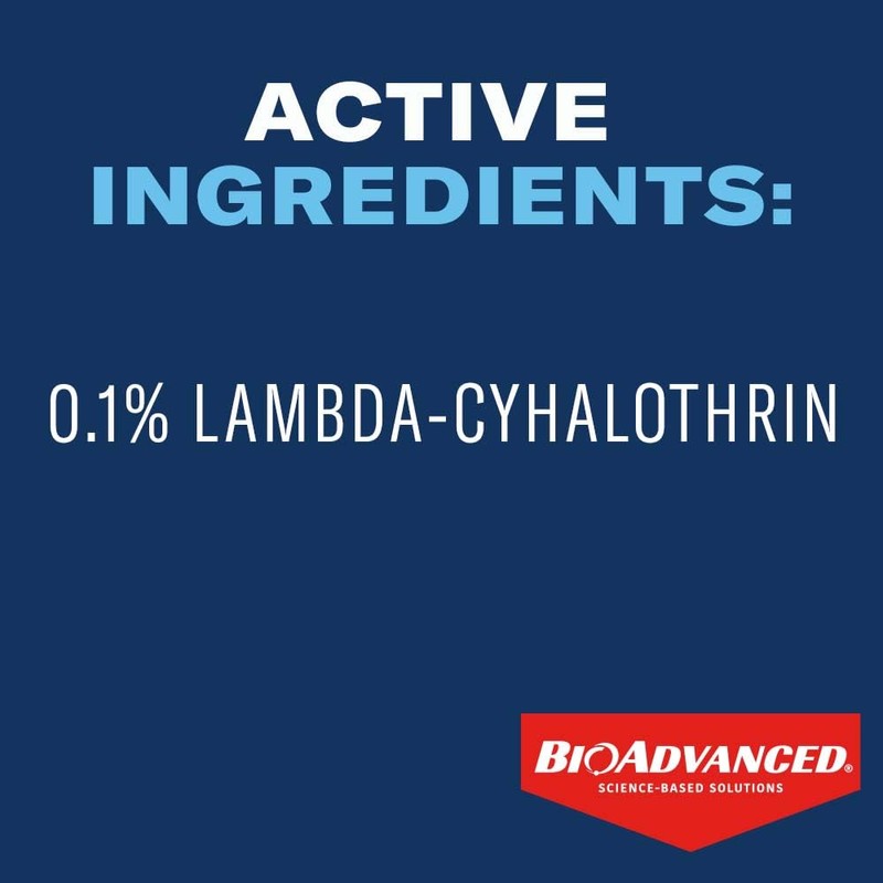 BioAdvanced 24 Hour Lawn Insect & Fire Ant Killer, Granules,