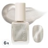 Facet Celebrity Nail Polish, 95 Magnetic Champagne Silver, 6 Pieces, 8ml / 파셋 셀럽 네일 폴리쉬, 95 마그네틱 샴페인 실버, 6개, 8ml