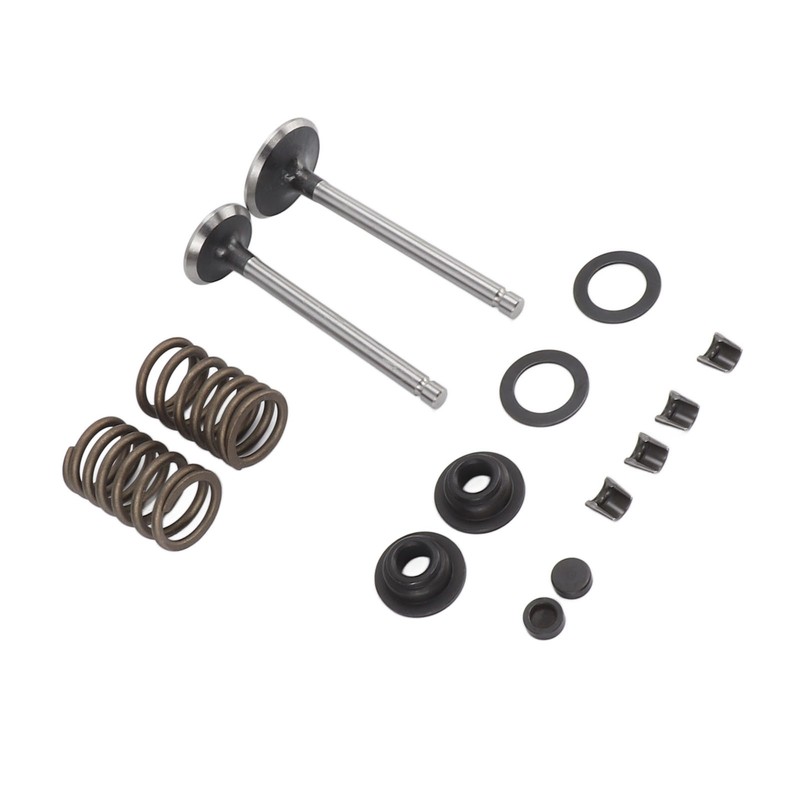Microtiller Valve Parts Iron Wear Resistant Anti Corrosion Spring Washer