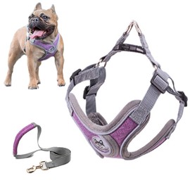 SKXEO Dog Harness Small Dog No Pull Dog Harness and Lead Set Adjustable Breathable Reflective Lightweight Pet Vest Harness Escape Proof Dog Harness Easy Control for Outdoor Walking Training