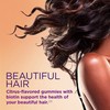 3 Pack Hair Skin Nails 240 Gummies (3x80) 2500 mcg