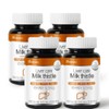 Milk Thistle Benefits Silymarin Liver Care 4 Pieces / 밀크씨슬