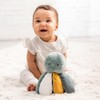 Nattou Octopus Activity Toy, Caramel (875073)