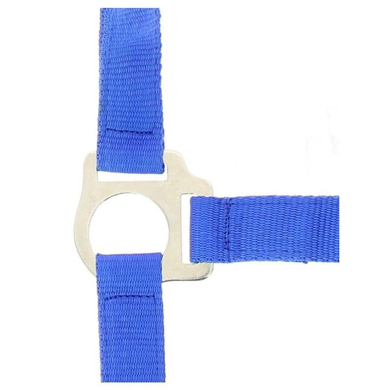 Various Various Headcollar and Lead Rope Club - Colours -