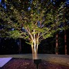 2-Pack Solar Spotlights with 64 LEDs, IP65 Waterproof Outdoor Landscape