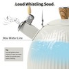 LONFFERY Tea Kettle for Stove Top