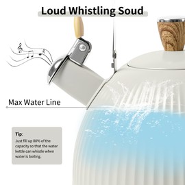 LONFFERY Tea Kettle for Stove Top